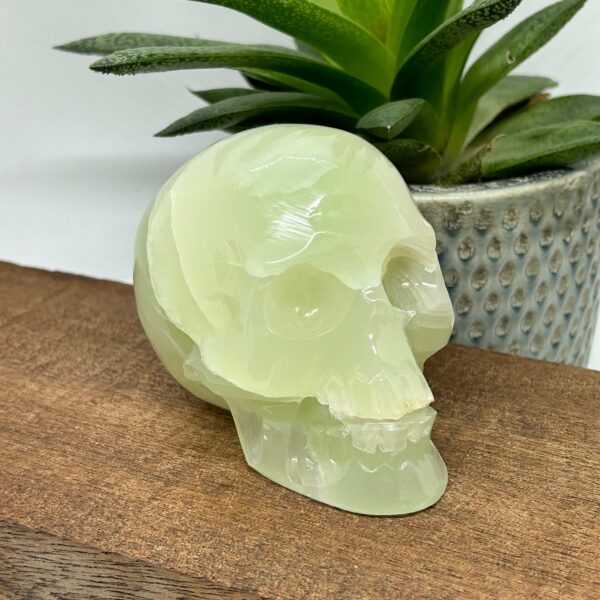 SKULL Grøn Onyx (1) 656g