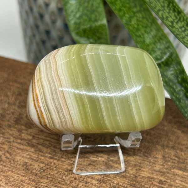 Onyx Palmstone (22) - Image 2