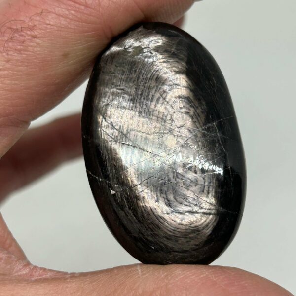 Hypersten Palmstone