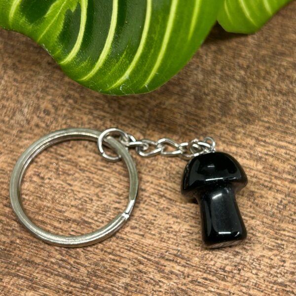 Nøglering Svamp Obsidian