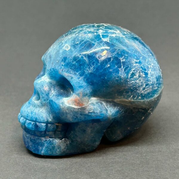 Blå Apatit Skull Kranie