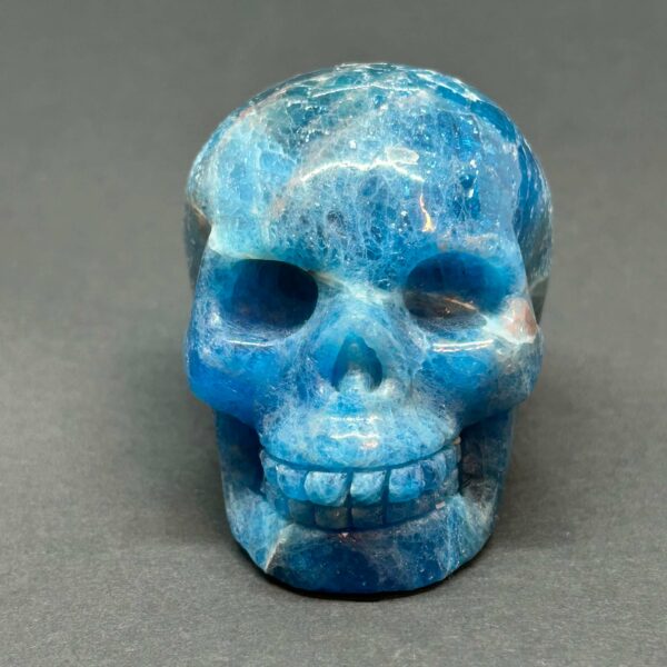 Blå Apatit AA Skull - Kranie (1) - Image 2