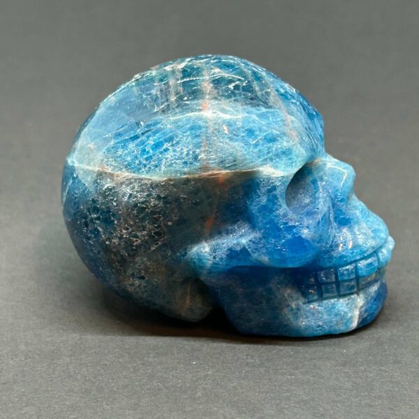 Blå Apatit AA Skull - Kranie (1) - Image 3
