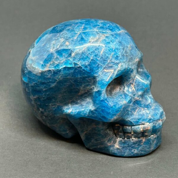 Blå Apatit AA Skull - Kranie (3) - Image 3