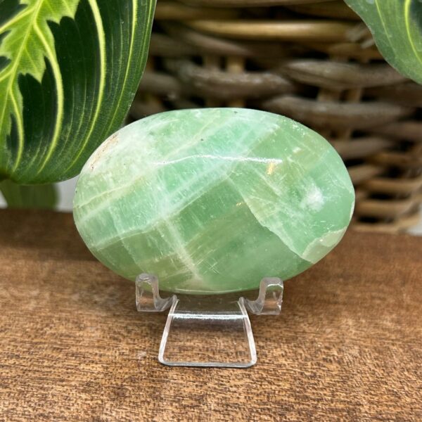 Ocean Calsit Palmstone