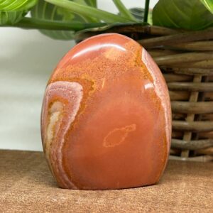 Polychrome Jaspis Freeform