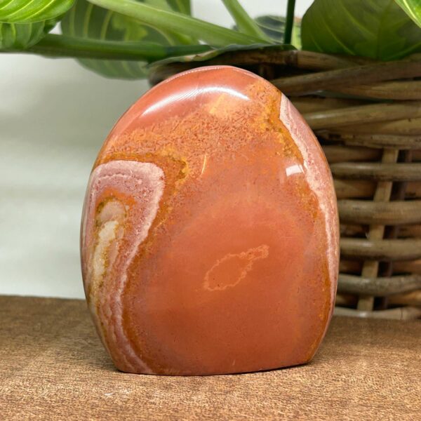 Polychrome Jaspis Freeform