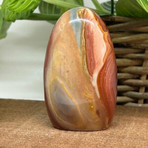 Polychrome Jaspis Freeform