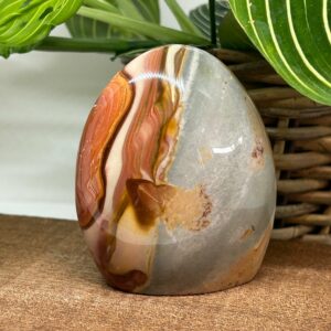 Polychrome Jaspis Freeform
