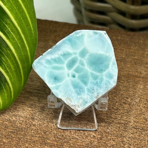 Larimar Skive/Slab
