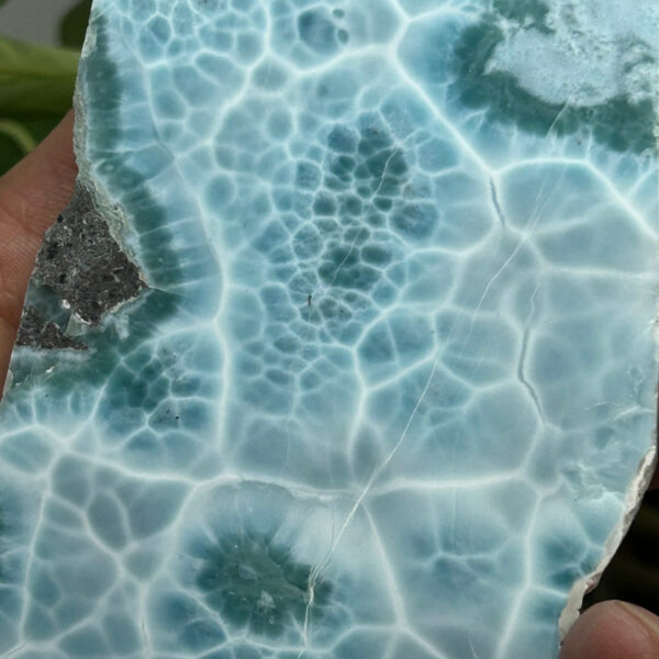 Larimar Skive/Slab