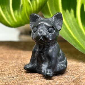 Mini Fransk Bulldog Obsidian