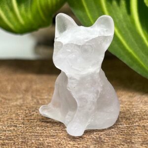 Mini Fransk Bulldog Fluorit