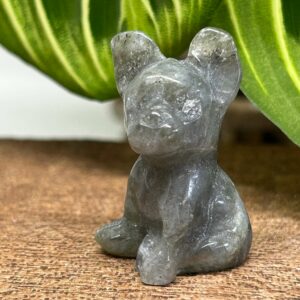 Mini Fransk Bulldog Labradorit