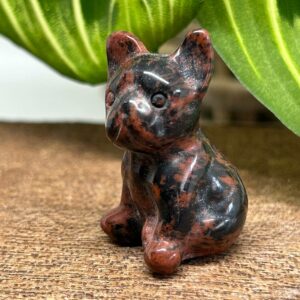 Mini Fransk Bulldog Mahogni Obsidian
