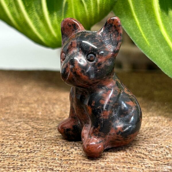 Mini Fransk Bulldog Mahogni Obsidian