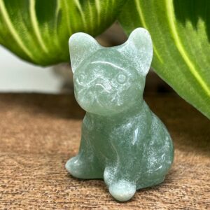 Mini Fransk Bulldog Aventurin