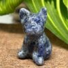 Mini Fransk Bulldog Sodalit
