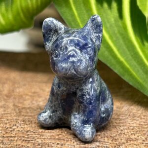 Mini Fransk Bulldog Sodalit