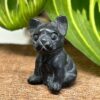 Mini Fransk Bulldog Obsidian