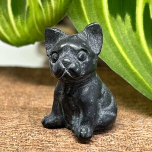 Mini Fransk Bulldog Obsidian