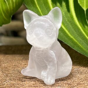 Mini Fransk Bulldog Fluorit