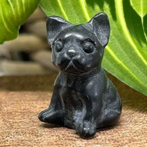 Mini Fransk Bulldog Obsidian