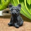 Mini Fransk Bulldog Obsidian