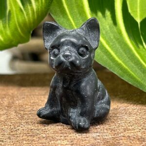 Mini Fransk Bulldog Obsidian