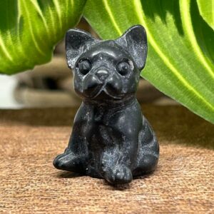 Mini Fransk Bulldog Obsidian