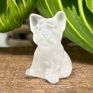 Mini Fransk Bulldog Bjergkrystal