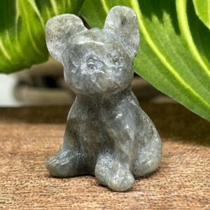 Mini Fransk Bulldog Labradorit