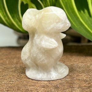 Mini Pokemon Charmander Golden Healer