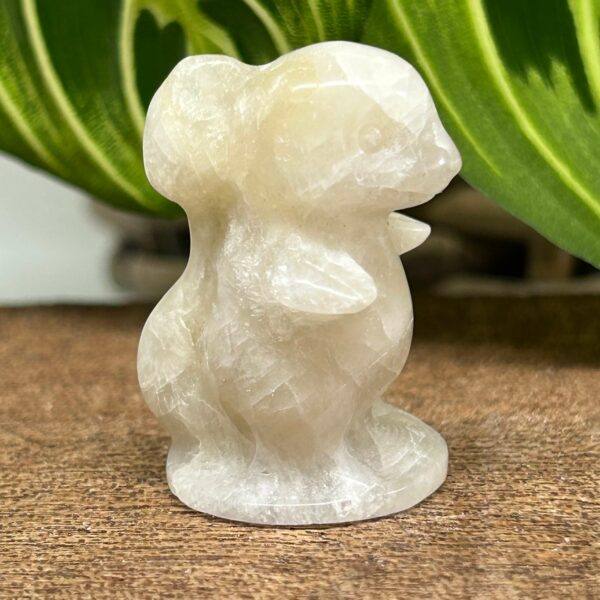 Mini Pokemon Charmander Golden Healer
