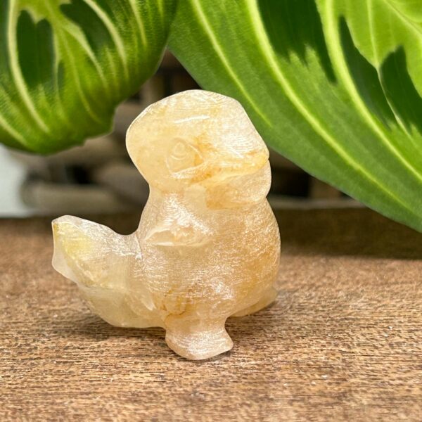 Mini Pokemon Charmander Golden Healer