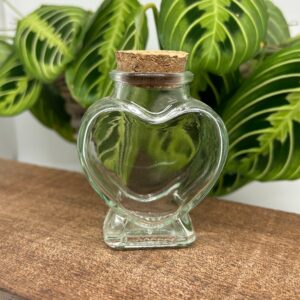 Hjerteformet opbevaringsglas