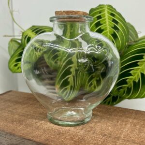 Hjerteformet opbevaringsglas Small Glas beholder med korkprop Til opbevaring eller eventuelt som indpakning til lille krystalgave.