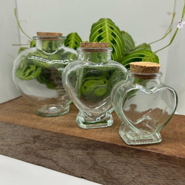 Hjerteformet opbevaringsglas M - Image 2