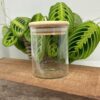 Cylinder opbevaringsglas