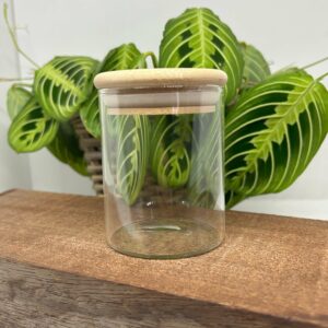 Cylinder opbevaringsglas