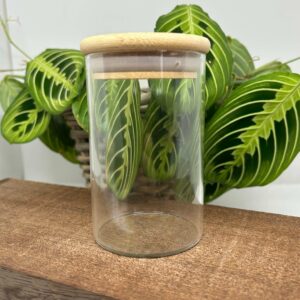 Cylinder opbevaringsglas