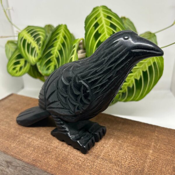 Krage Obsidian 18 cm (3) - Image 2