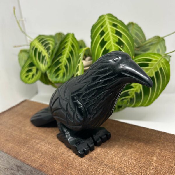 Krage Obsidian 19 cm (4) - Image 2