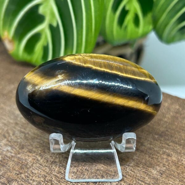 Tigerøje Palmstone
