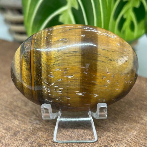 Tigerøje Palmstone