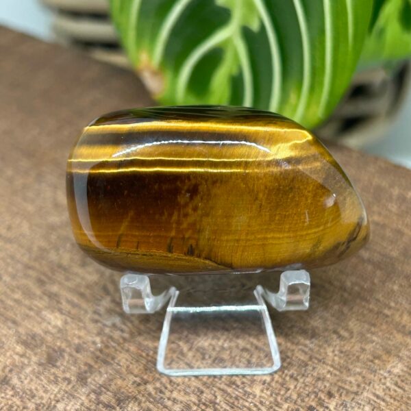 Tigerøje Palmstone