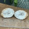 Flækket Mini Calsit Geode