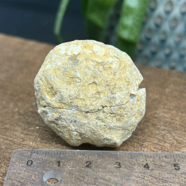 Flækket Mini Calsit Geode