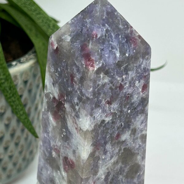 Unicorn Stone Tårn