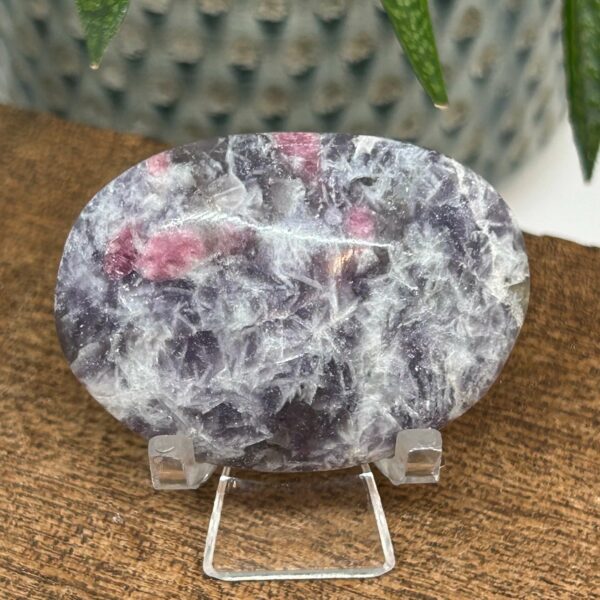 Unicorn Stone Palmstone